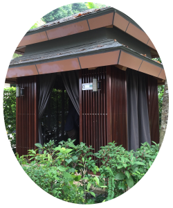 curtains_19