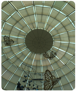 engineered_blinds_04
